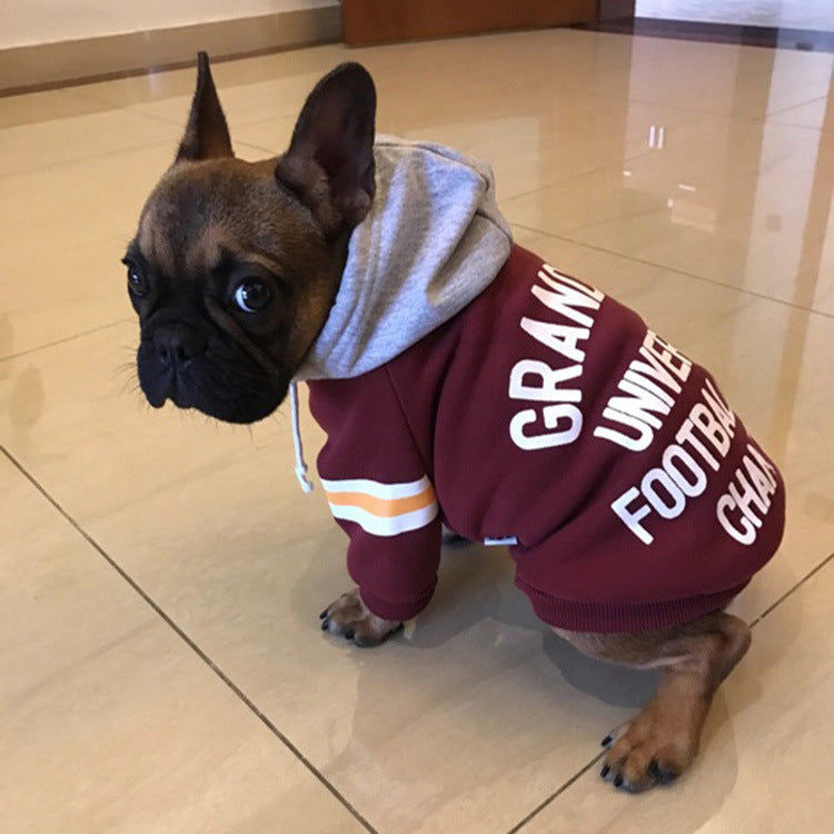 Pawfectly Warm Pet Sweater - GlamzLife