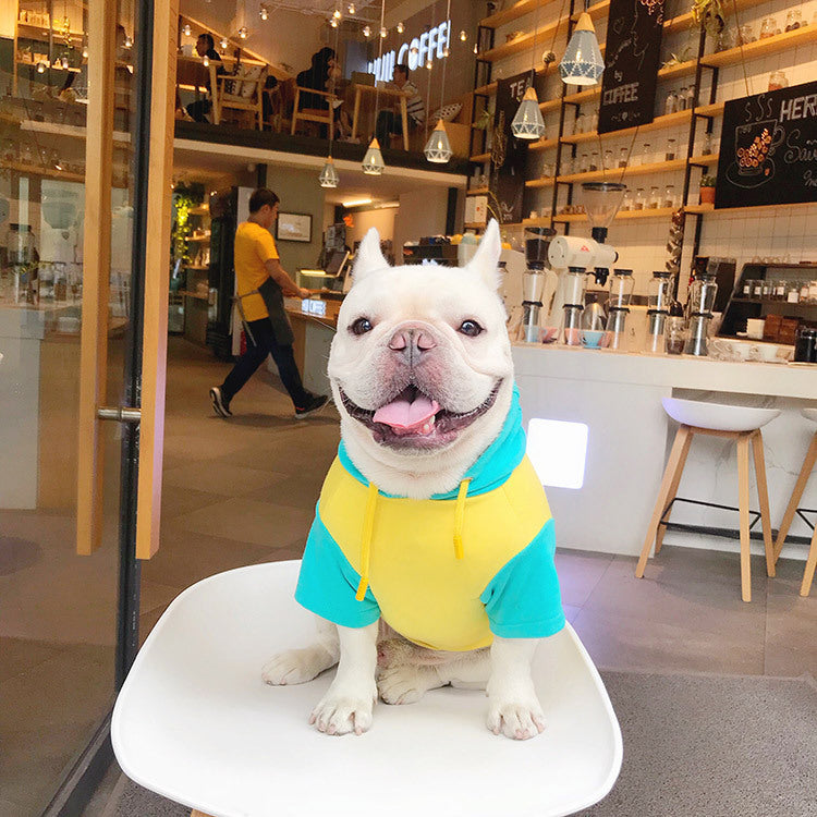 Cute Cotton Clothes for Pets - GlamzLife
