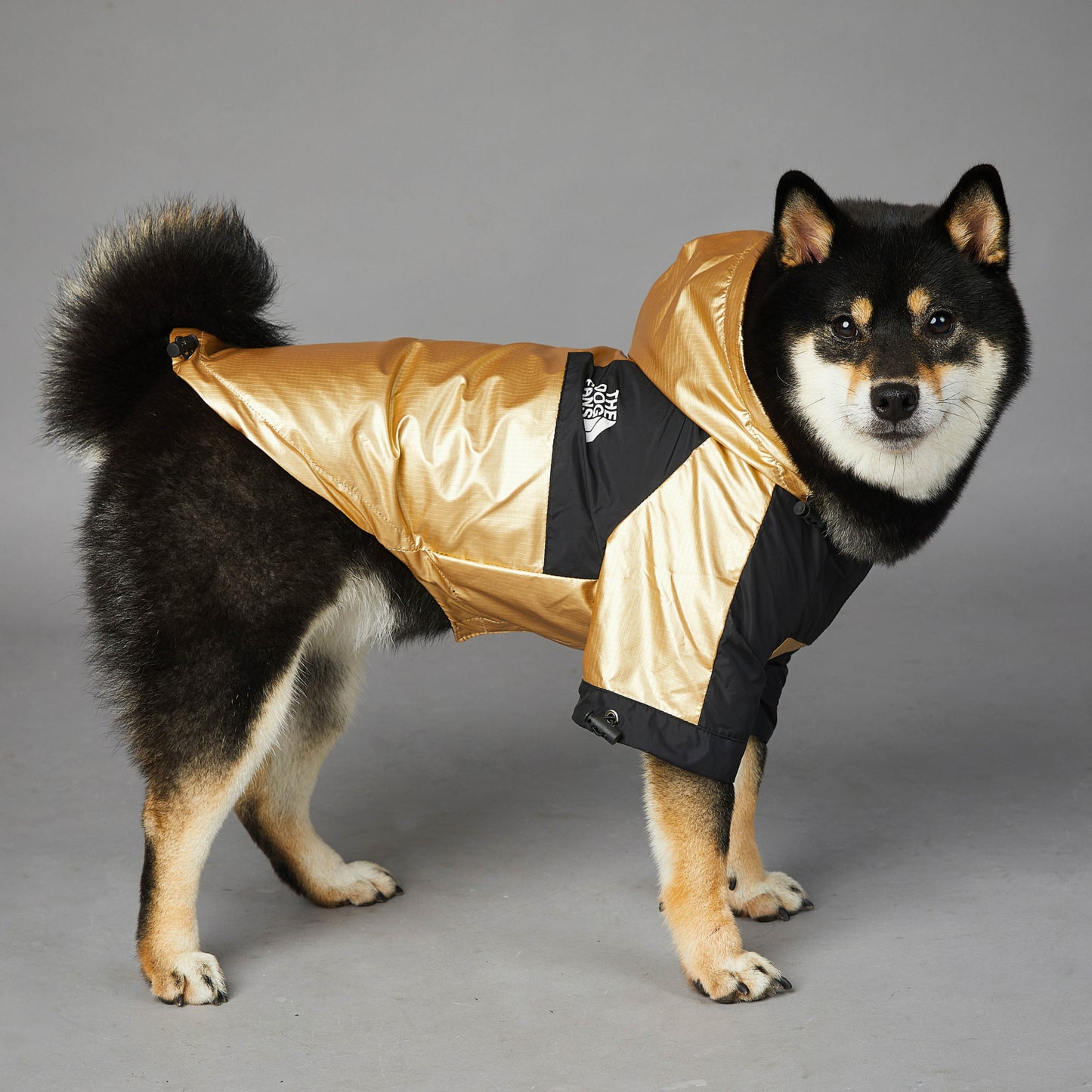 Dog Large Dog Raincoat Pet Jacket - GlamzLife