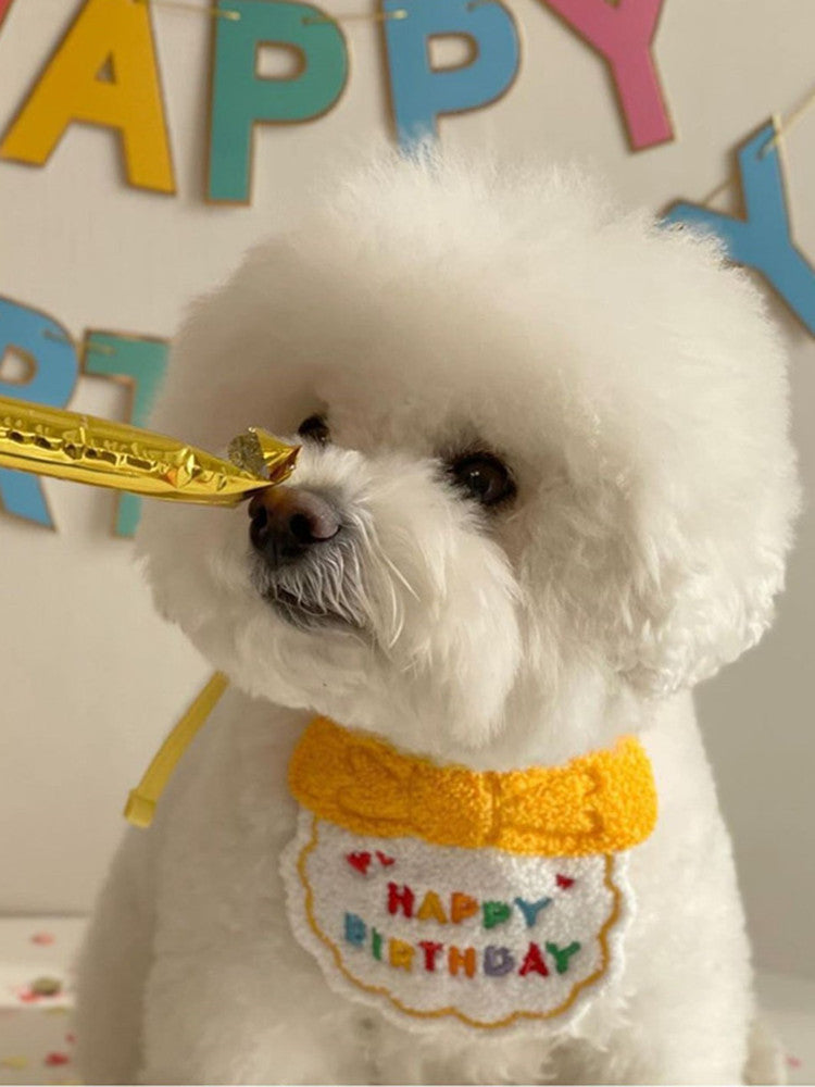 Pet Dog Fashion Special Decoration Bib Hat - GlamzLife
