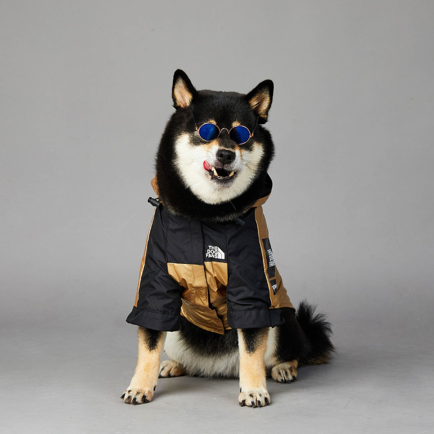 Dog Large Dog Raincoat Pet Jacket - GlamzLife