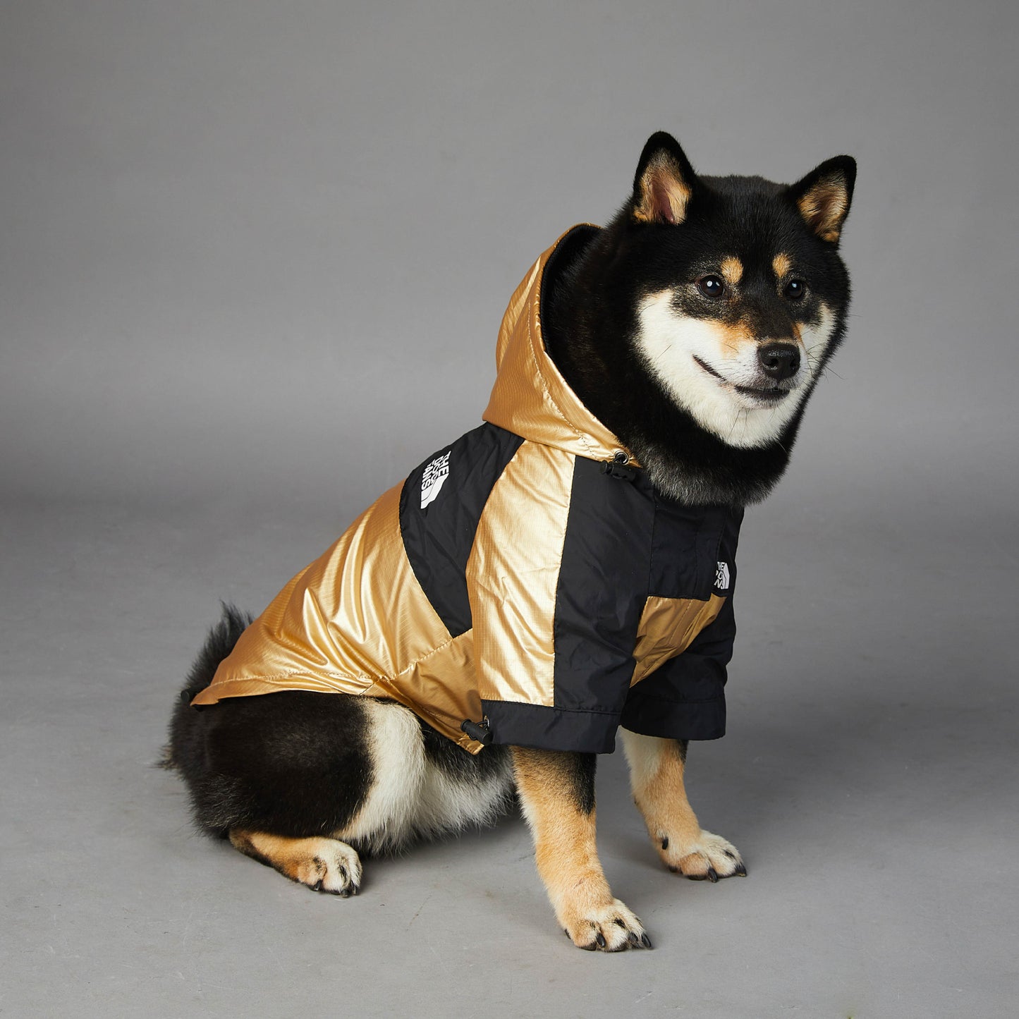 Dog Large Dog Raincoat Pet Jacket - GlamzLife