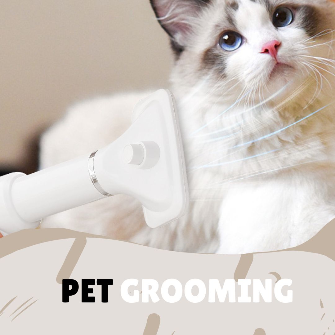 Pet Grooming