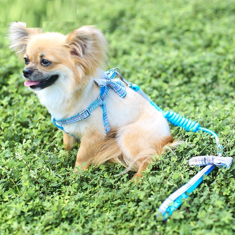 Small And Medium-sized Leash Pet Dog Supplies - GlamzLife