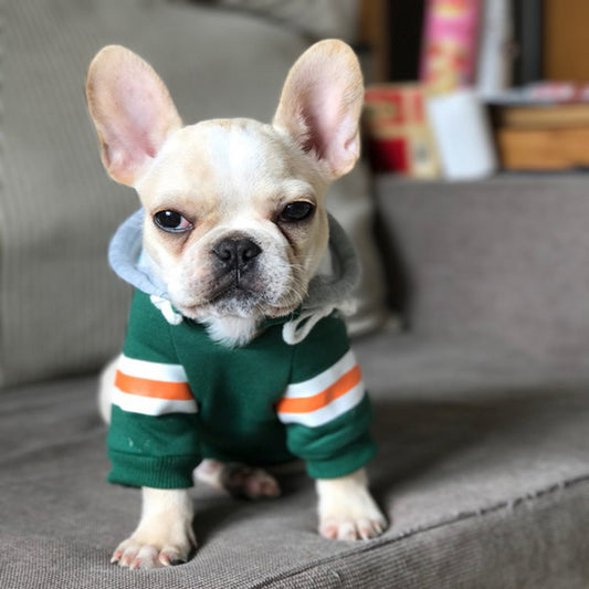 Pawfectly Warm Pet Sweater - GlamzLife