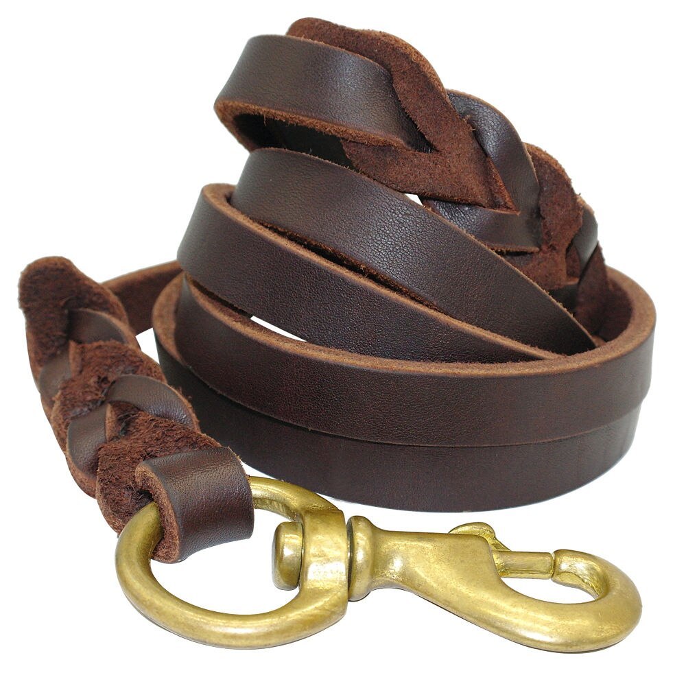 Leather dog rope - GlamzLife