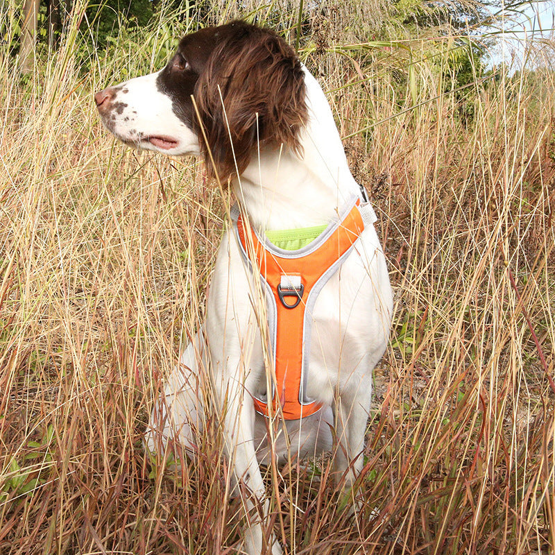 Adjustable Outdoor Trekking Big Dog Chest Back Leash - GlamzLife