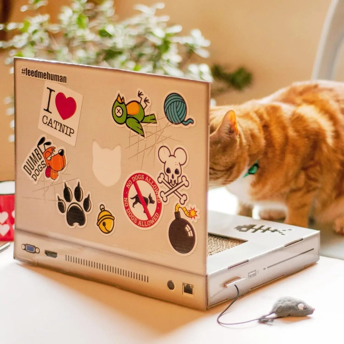 Cat Scratch Board Notebook Folding Wear-resistant Corrugated Paper- GlamzLife