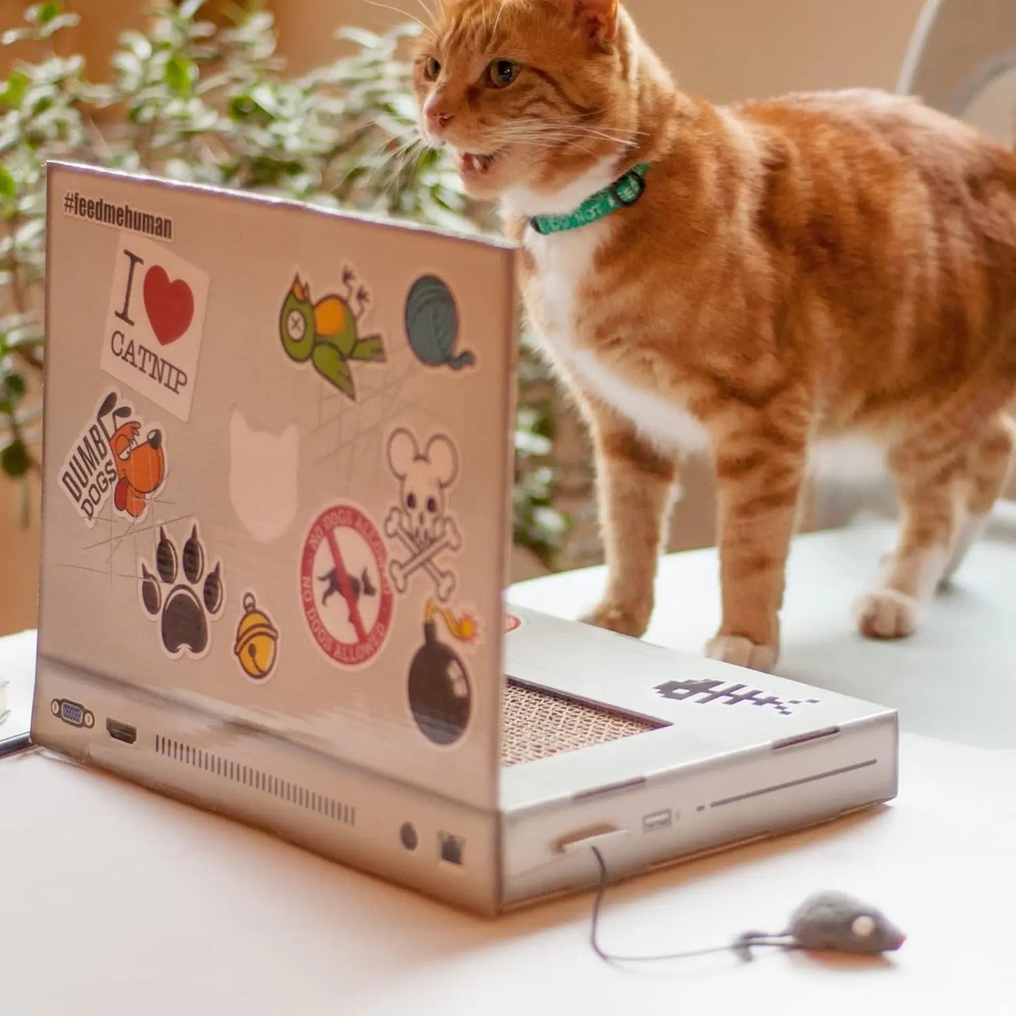 Cat Scratch Board Notebook Folding Wear-resistant Corrugated Paper- GlamzLife