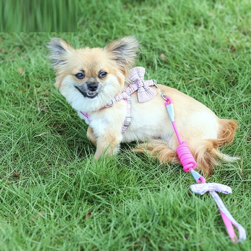 Small And Medium-sized Leash Pet Dog Supplies - GlamzLife