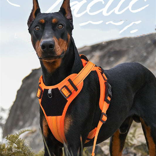 Pet Hand Holding Rope Anti Breaking Loose Dog Harness - GlamzLife