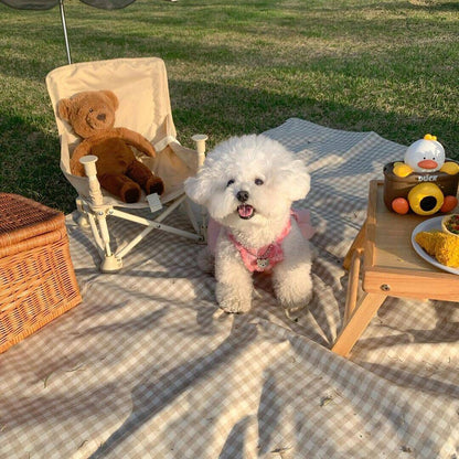 Spring And Summer Fashion Pet Dress - GlamzLife