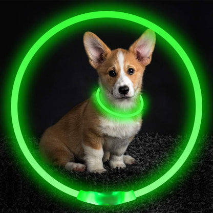 Glowing Necklace Safety Collar - GlamzLife