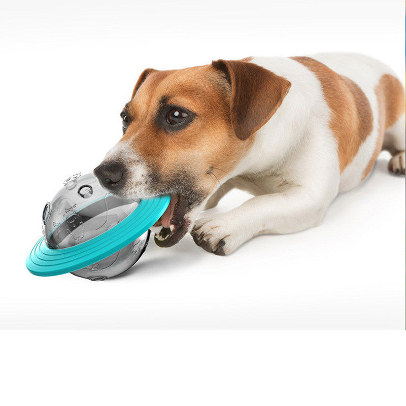 Missing food educational toys - GlamzLife