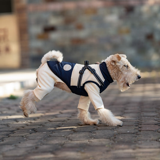 Pet Dog Windproof Chest Back Integrated Cloth - GlamzLife
