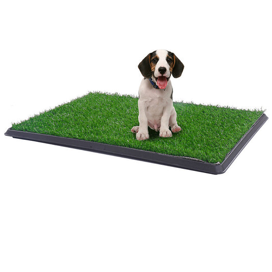 Particle Dog Toilet Emulational Lawn Toilet - GlamzLife