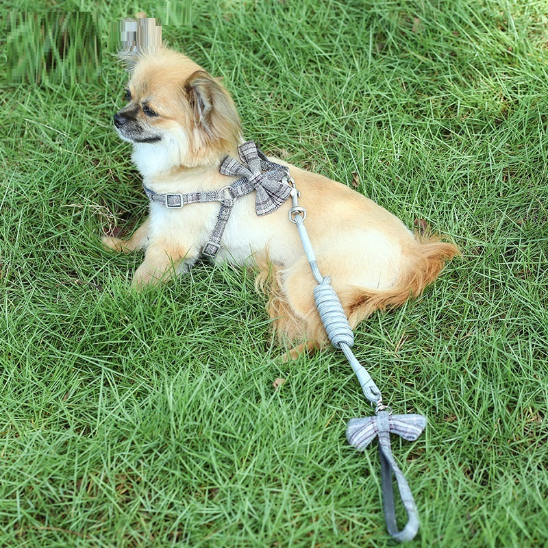 Small And Medium-sized Leash Pet Dog Supplies - GlamzLife