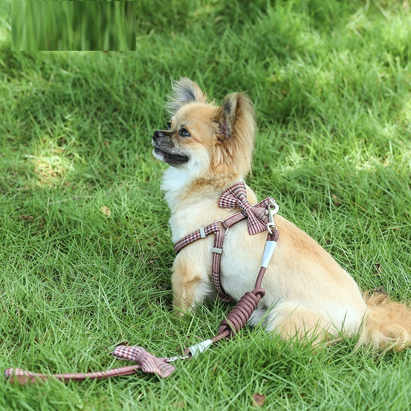 Small And Medium-sized Leash Pet Dog Supplies - GlamzLife