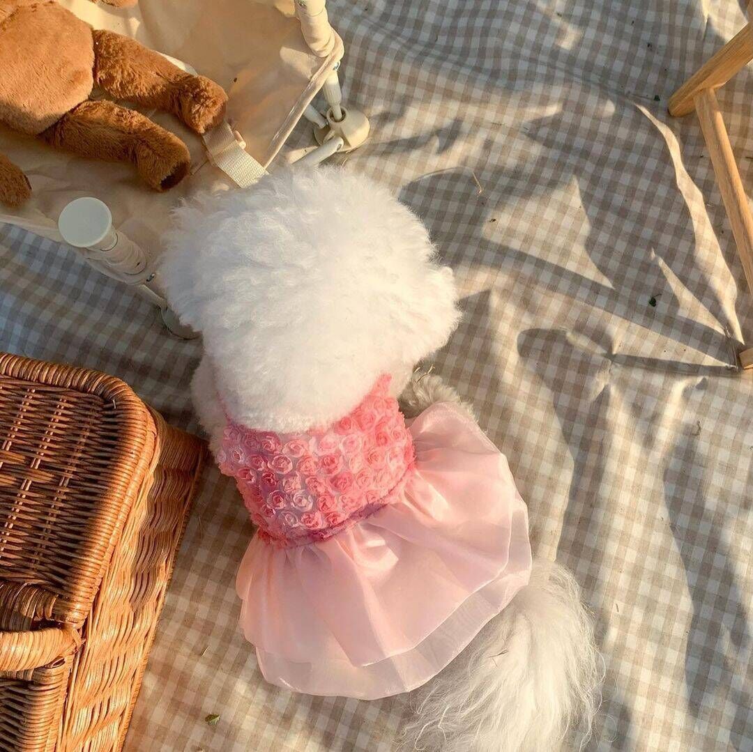 Spring And Summer Fashion Pet Dress - GlamzLife