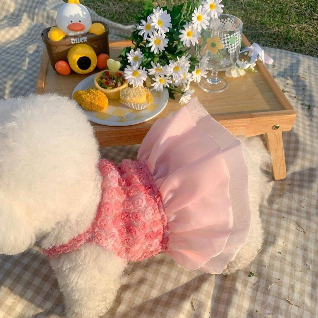 Spring And Summer Fashion Pet Dress - GlamzLife