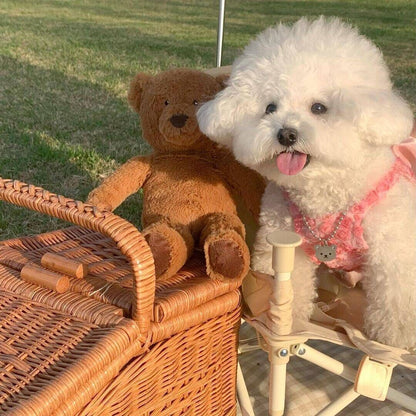 Spring And Summer Fashion Pet Dress - GlamzLife