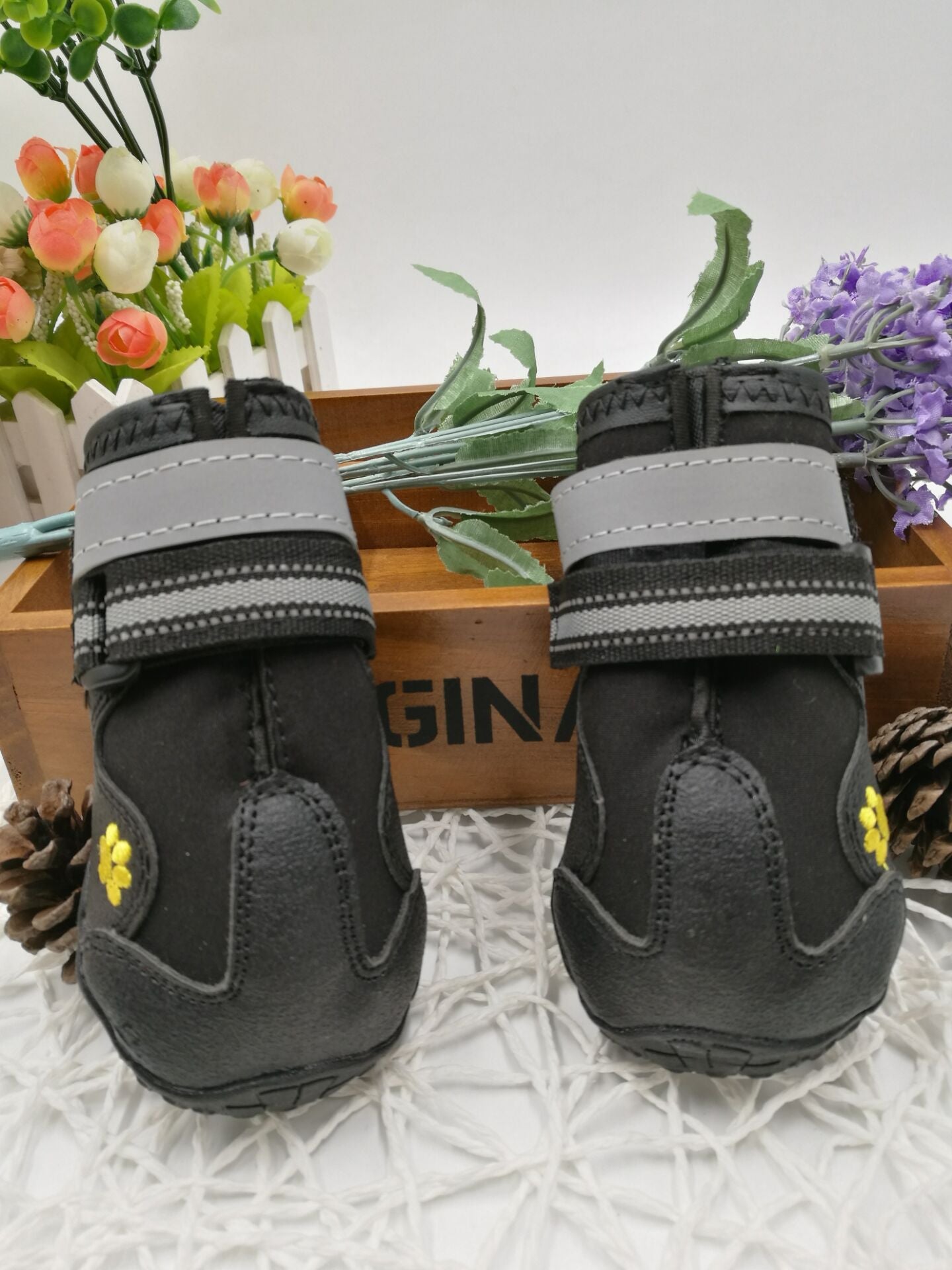 Pet shoes wear dog shoes | GlamzLife