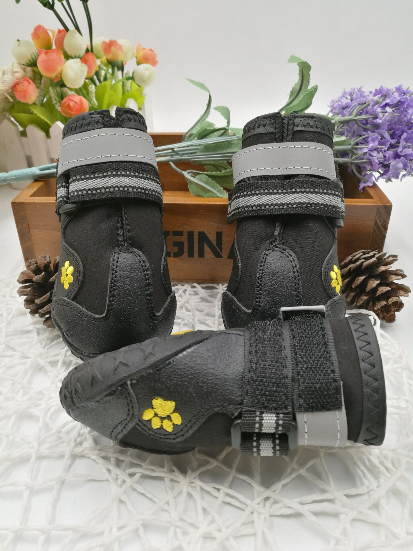 Pet shoes wear dog shoes | GlamzLife
