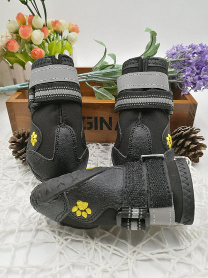 Pet shoes wear dog shoes | GlamzLife