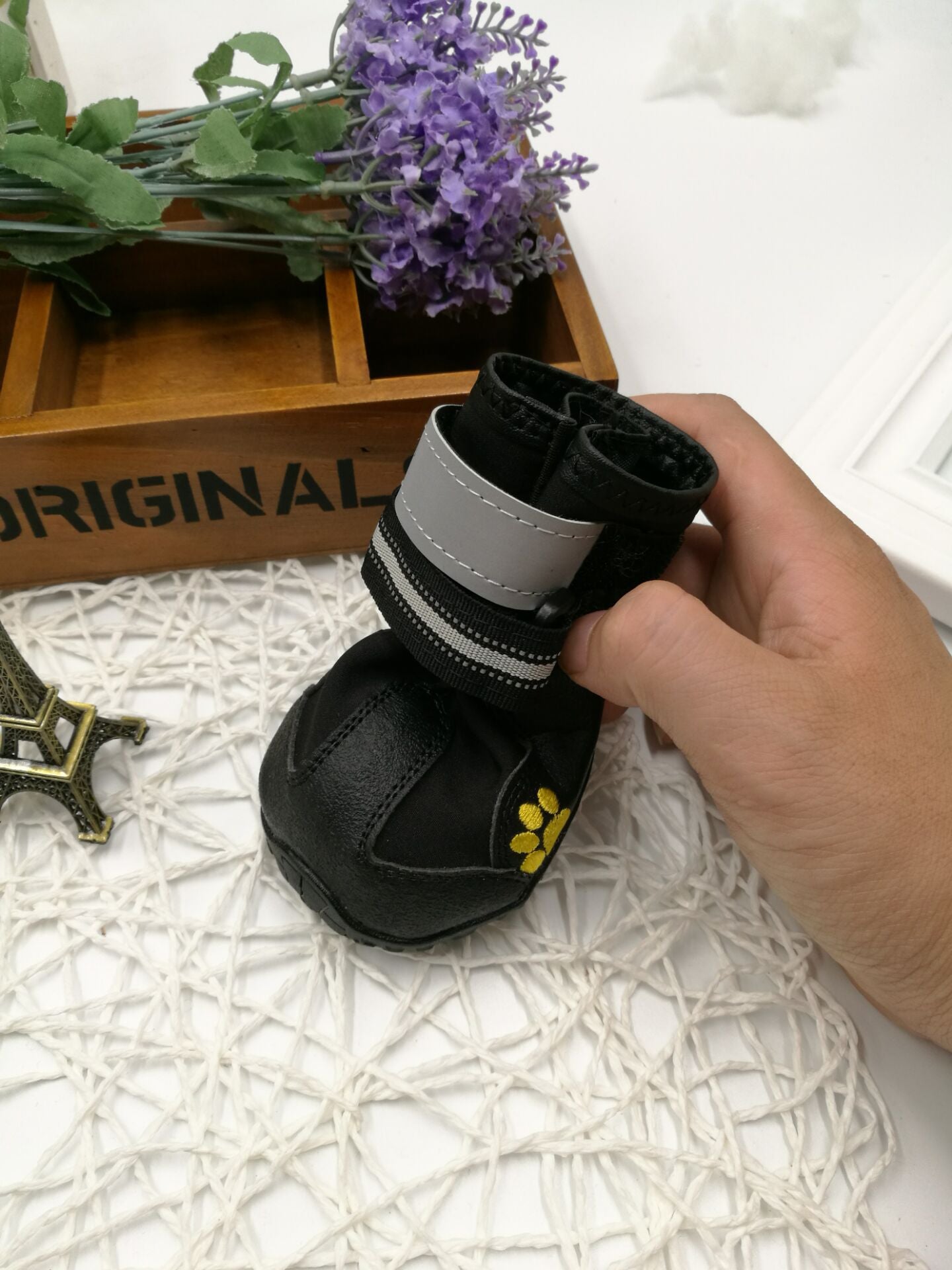 Pet shoes wear dog shoes | GlamzLife