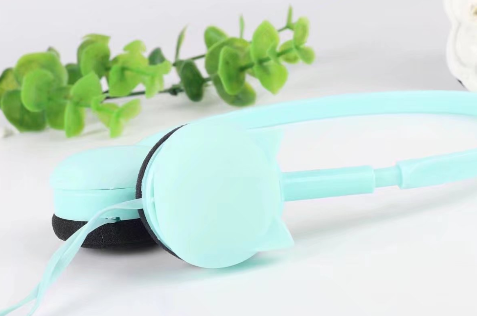 Plug Kitten Wearing Style Headphones | GlamzLife