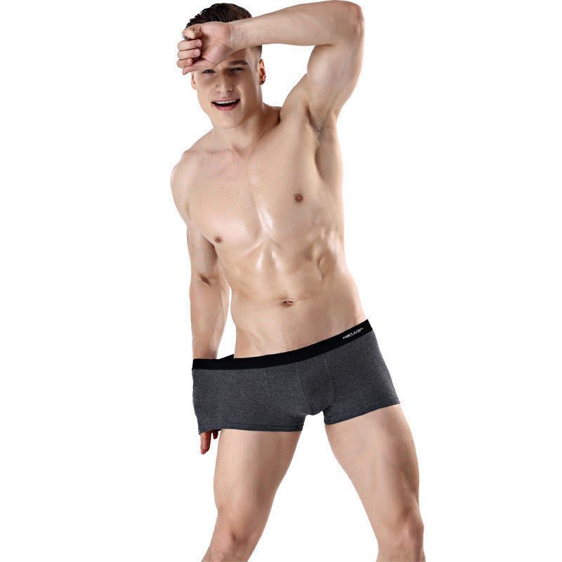 Printed Antarctic Men's Underwear | GlamzLife